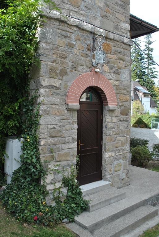 Vilă Vilele Lucia Luxury Mens Sana *